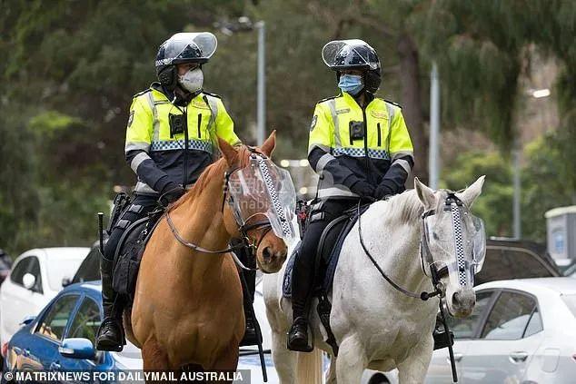 澳大利亚骑警图片