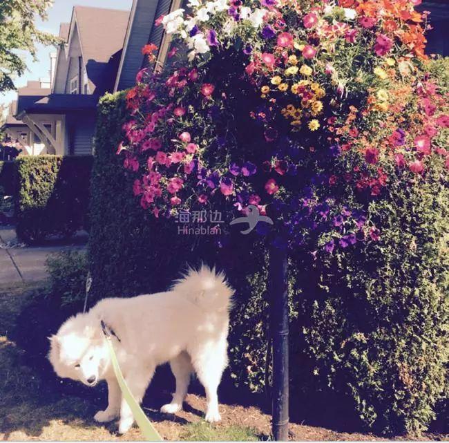 20180218_15189750281240.png ..