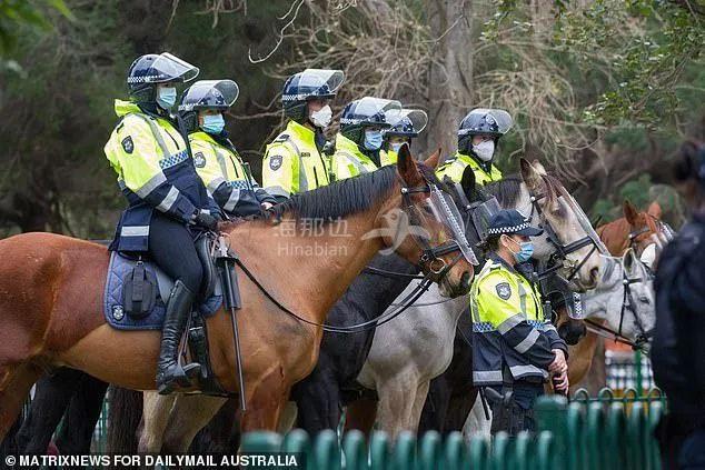 澳大利亚骑警图片