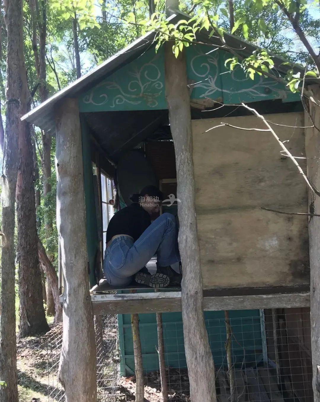 95331634_132954915007522_7018861943402266624_o.jpeg ..