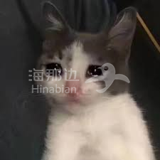 ..