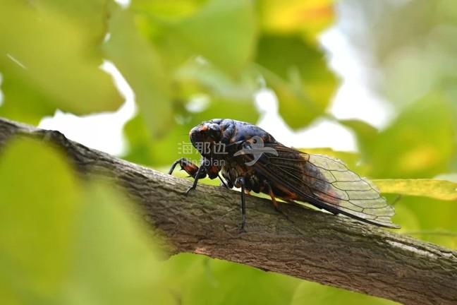 84fa269c2251066b8ebbefc3fb5c167f.jpg ..