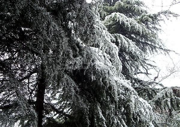 9dce1601eaaef382f0b93b3aab53ddaa.jpg ..