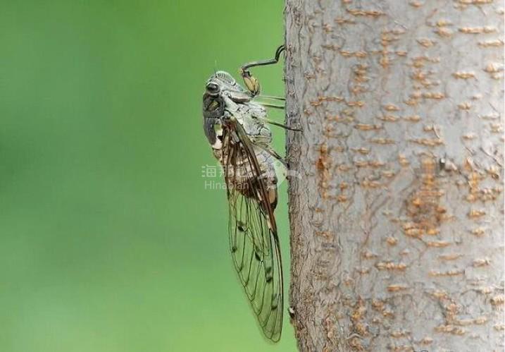 abf46c8609cb807bd15b90095edaee45.jpg ..