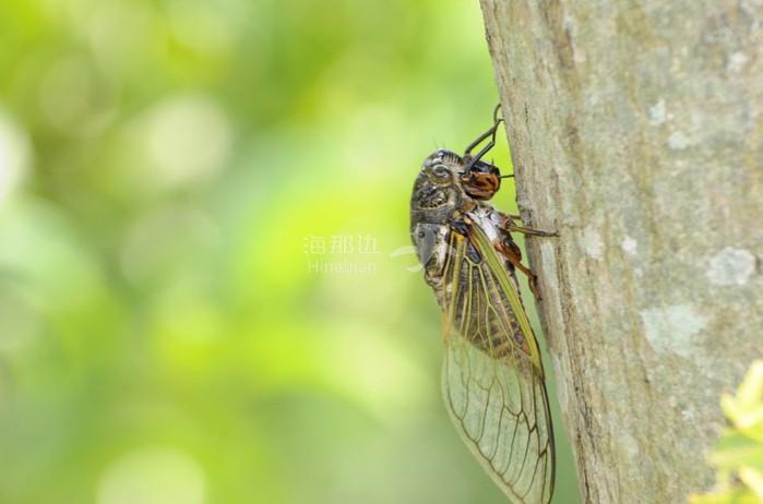 6d63d3f948b8313d2e09ccd86f2e09c2.jpg ..